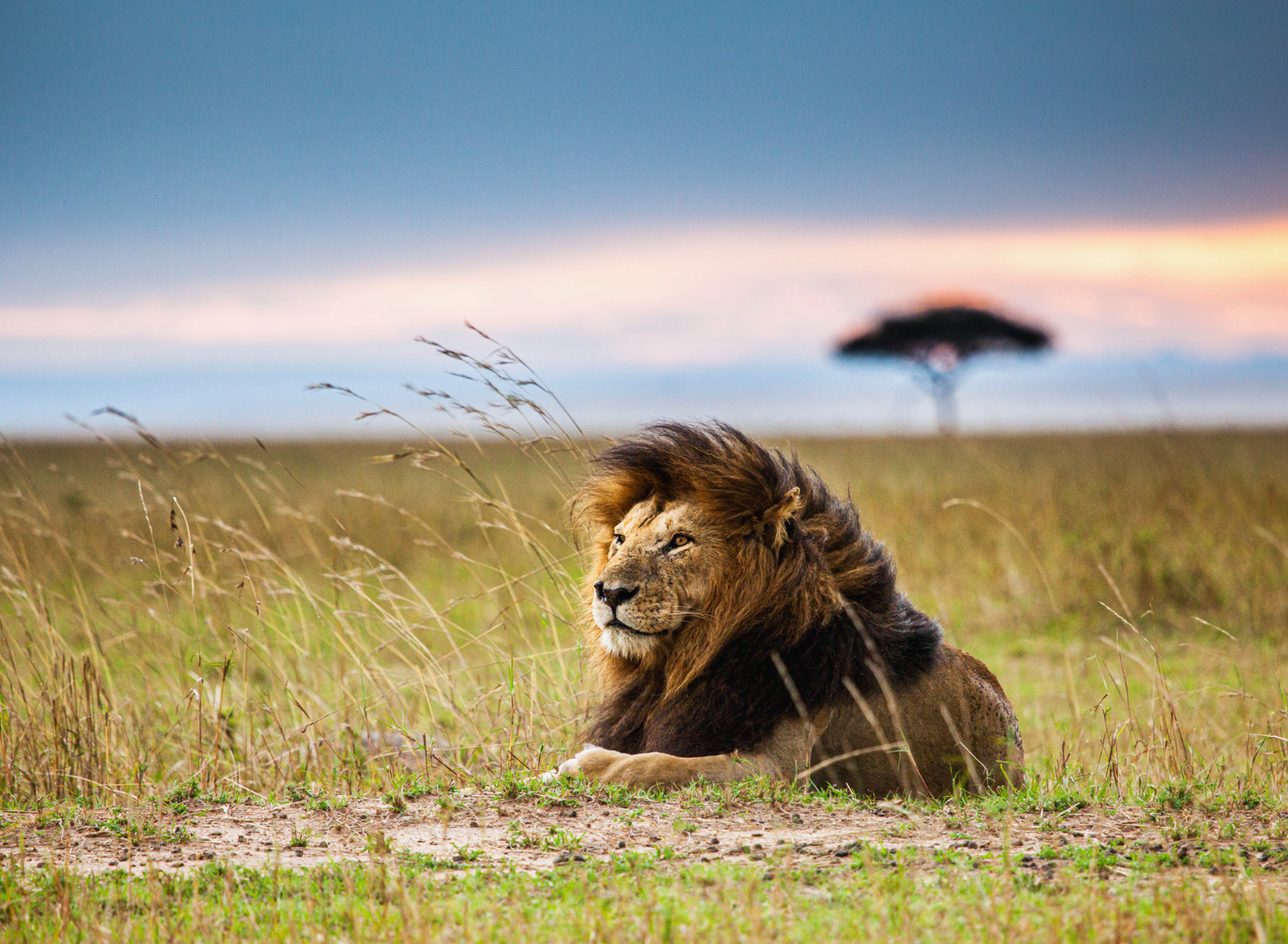 Coaching in Afrika
